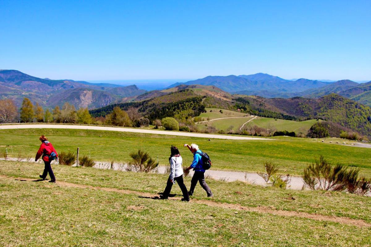 Naturaleza Y Aire Puro En El Pirineo Oriental En Una Bonita Casa Rural De Piedra Prats-de-Mollo-la-Preste Esterno foto