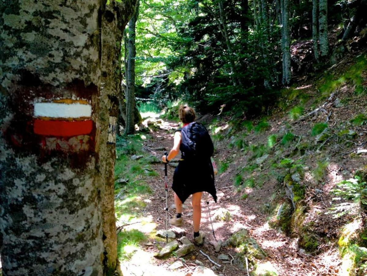 Naturaleza Y Aire Puro En El Pirineo Oriental En Una Bonita Casa Rural De Piedra Prats-de-Mollo-la-Preste Esterno foto