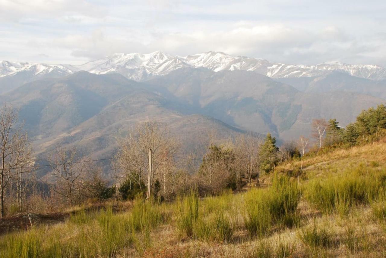 Naturaleza Y Aire Puro En El Pirineo Oriental En Una Bonita Casa Rural De Piedra Prats-de-Mollo-la-Preste Esterno foto